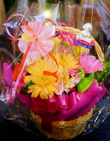 DSC00677 (498x640).jpg